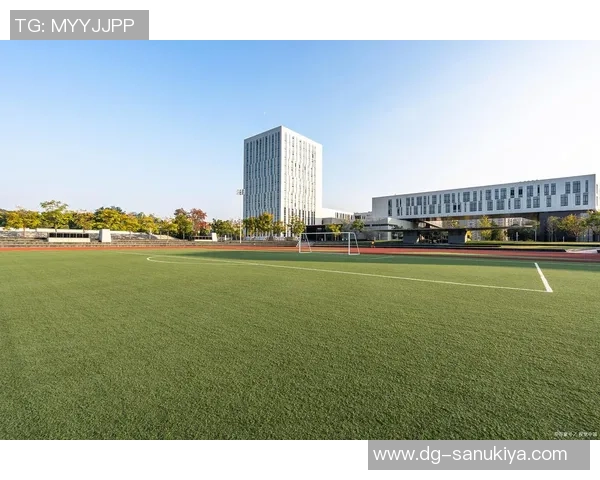 广州乒乓球队的训练与比赛节奏探秘：从基础到高水平的全景解析