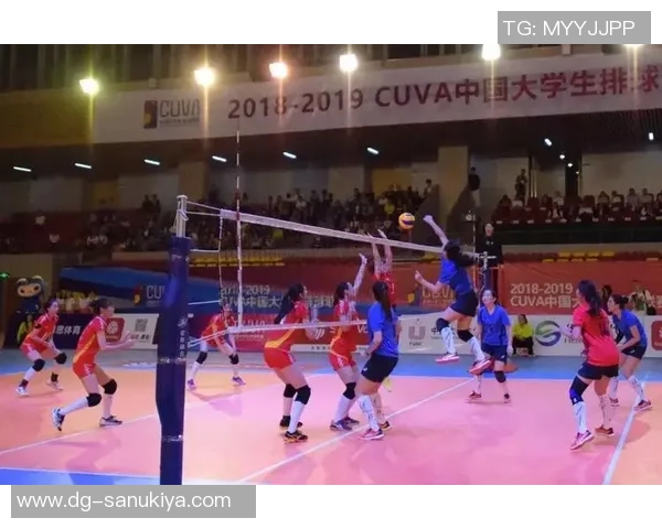 杭州排球队的控制革新探索与实践全景分析