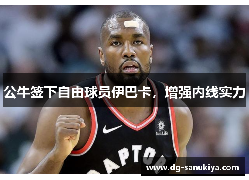 公牛签下自由球员伊巴卡，增强内线实力