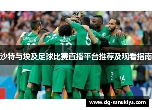 沙特与埃及足球比赛直播平台推荐及观看指南